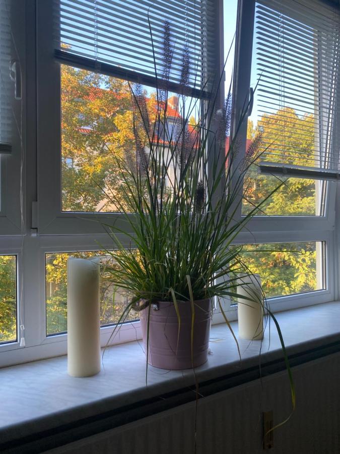 Central City Privatapartment Relax-Inn, Netflix & Sky Tv! Hannover Luaran gambar
